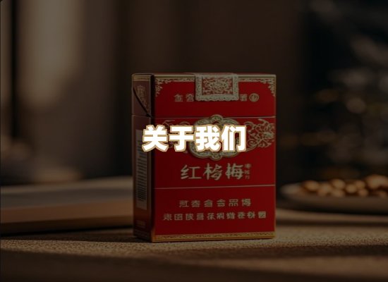 关于御龙烟网
